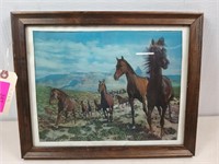 Framed 3D horse picture 12.5 x 16