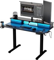 Electric Standing Desk with LED Lights