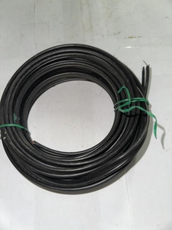 BLACK SPEAKER WIRE (?)