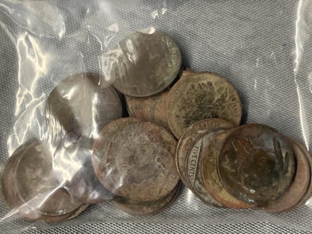 (26) Buffalo Nickels
