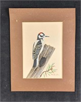 Downy Woodpecker by Karl Karalus