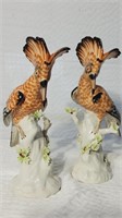 Italian Porcelain Hoopoe Bird Figurines