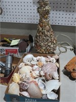 GREAT SHELL COLLECTION & OLD SHELL LAMP