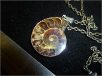 Natural Cut Ammonite Snail Fossil Necklace