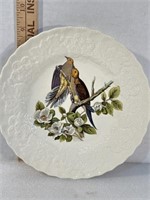 Alfred Meakin Birds of America Plate #17 Carolina