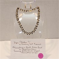 2 pc Necklace & Earrings