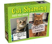 Cat Shaming 2023 Day-to-Day Calendar (Calendar)