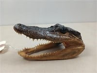5" alligator head