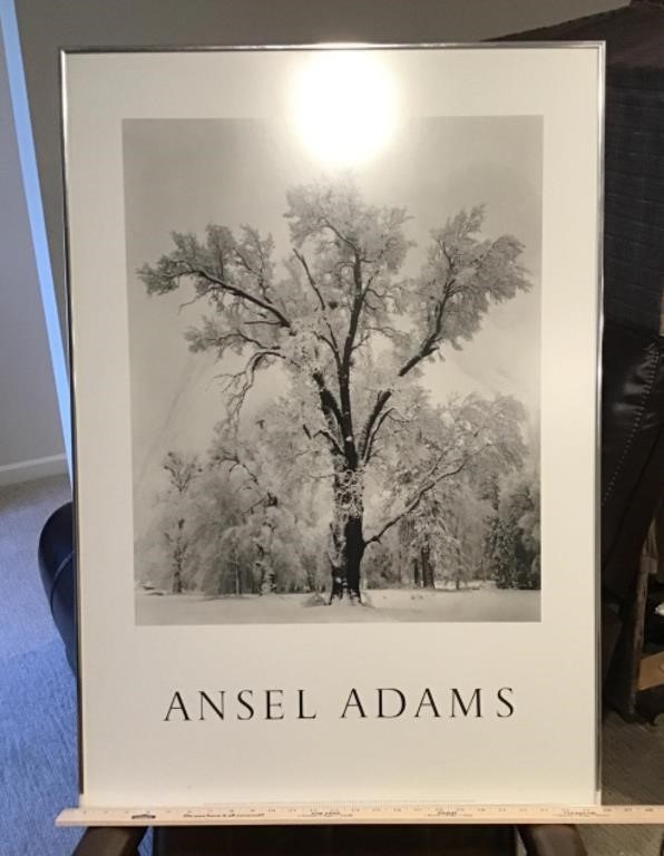 Framed Ansel Adams print