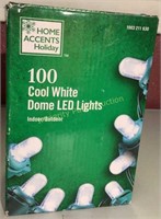Home Accents 100 Cool White Dome LED Lights