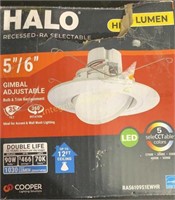 Halo 5/6" High Lumen Downlight