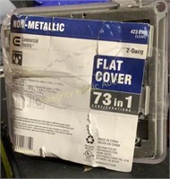 CE Flat Cover 2 Gang