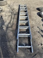 1) Aluminum Extension Ladder