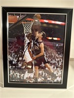 8x10 NBA Lebron James color photo autographed