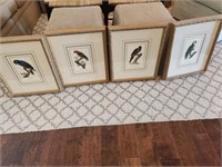 Set 4 Framed Bird Prints