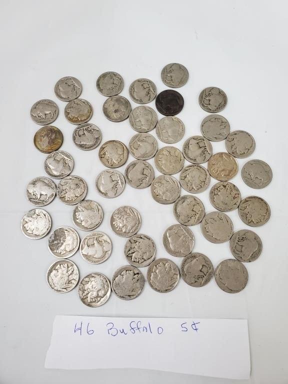 Buffalo nickel collection