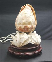 Carved conch sell lamp