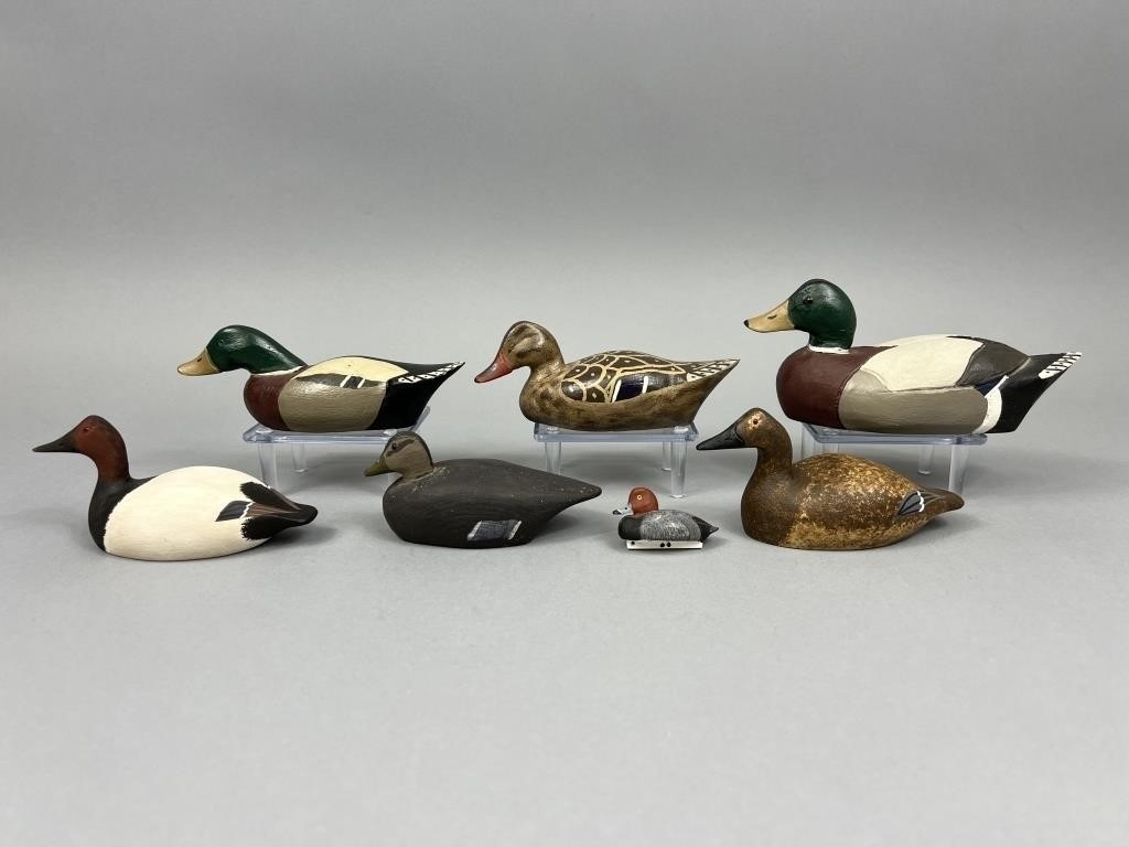 7 Miniature Ducks