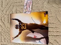 Joe Haden Signed 8x10 w/COA