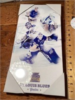 NEW STL Blues goalies hanging plaque