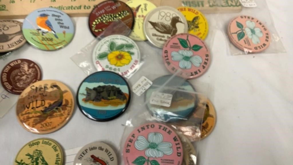 Step Into the Wild Buttons