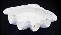 Large faux resin clam shell