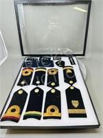Collection of Military Badges in case