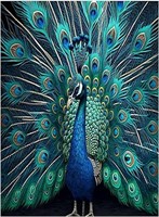 Peacock Canvas Print Wall Decor - 24x36