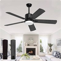 Outdoor Black Ceiling Fan