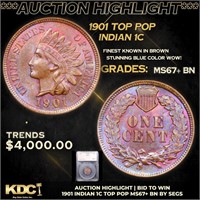 ***Auction Highlight*** 1901 Indian Cent TOP POP 1