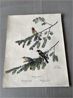 Ray Harm Bird Print
