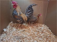 Pair-Creole Old English Game Bantams