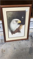 Bald Eagle by Ray Harm