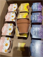 48 Mini Terra Cotta Flower Grow Kits