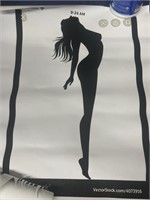 Nude silhouette Verizon poster