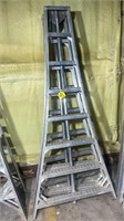 Tallman Tripod Orchard Ladders (3) 7'3" H (Used)