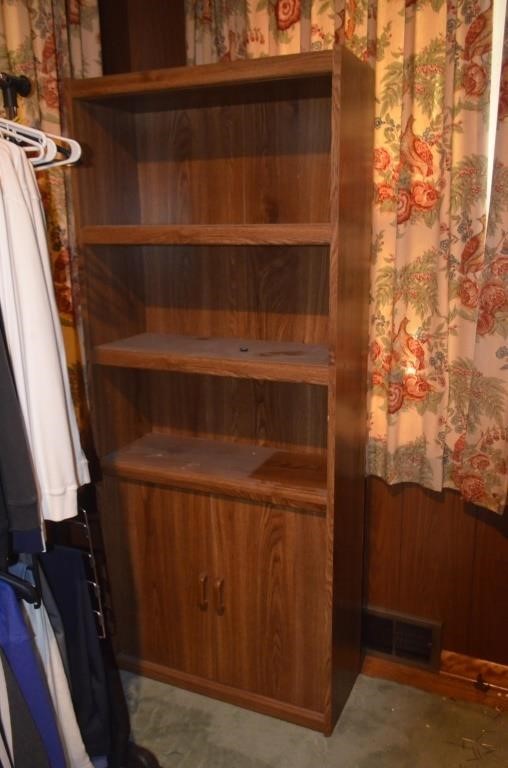 Bookcase with 2 Cabinet Doors