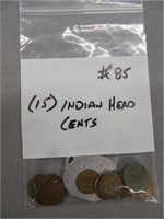 (15) Indian Head Cents