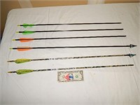 6ct Assorted Arrows