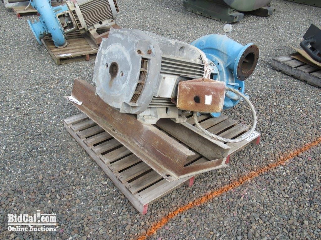 Cernell Pump Motor