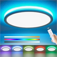 RGB Ceiling Light with Remote Control, 12 Inch