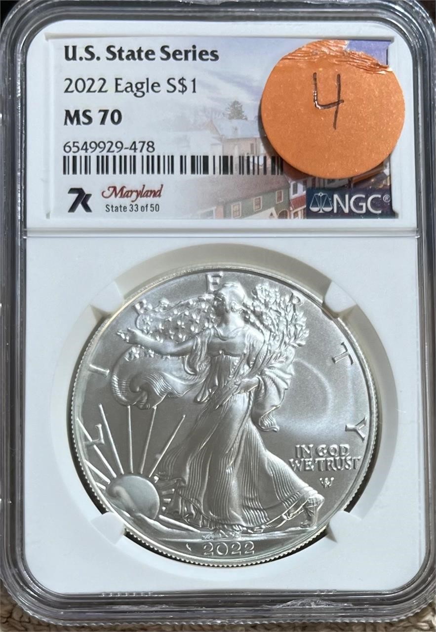 Morgan Dollar Madness (Part 4 of 4)