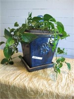BLUE POTTERY PLANTER W/ IVY & WATERING BULB