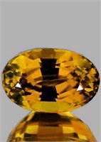 Natural  Golden Zircon Natural {Flawless-VVS1}