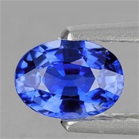 Natural  Blue Sapphire 1.03 Cts [Flawless-VVS]