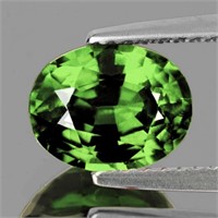 Natural Green Sapphire 1.17 Cts  {Flawless-VVS}