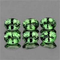 Natural Green Sapphire (6 Pcs) 4.5x3.5 MM - FL