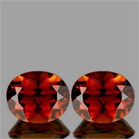 NATURAL CHAMPAGNE IMPERIAL TOPAZ Pair 11x9 MM