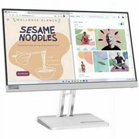 Lenovo 22 LED 1920x1080 Monitor  L22e-40