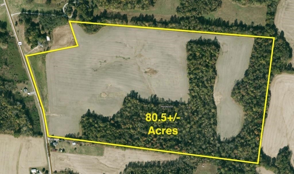 200+/- ACRES IN 2 FARMS